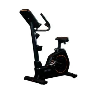 Bicicleta Vertical Profissional B 6000